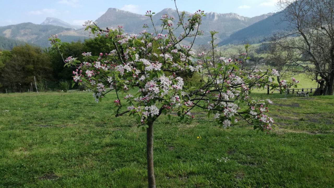 Casa Rural Urkulu Landetxea Arechavaleta Exteriér fotografie